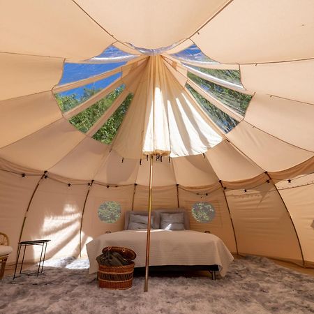 Holmegaard Vin Og Glamping 호텔 Dannemare 외부 사진