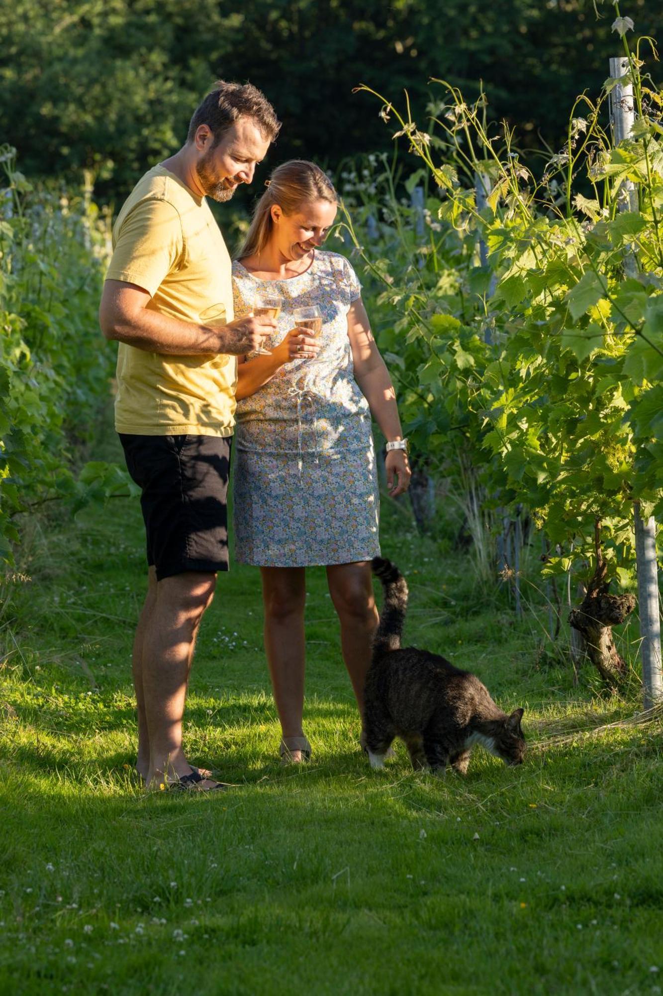 Holmegaard Vin Og Glamping 호텔 Dannemare 외부 사진