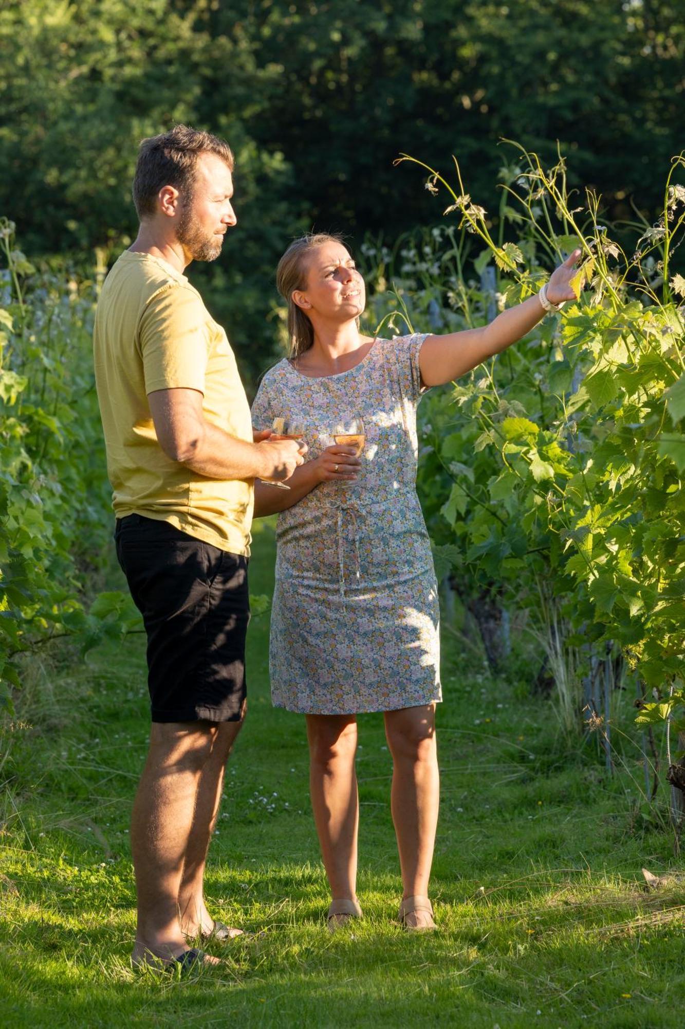 Holmegaard Vin Og Glamping 호텔 Dannemare 외부 사진
